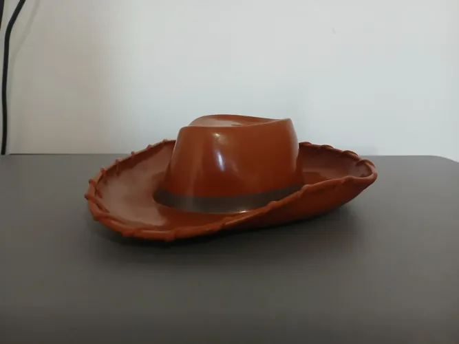Chapéu do Woody toy story