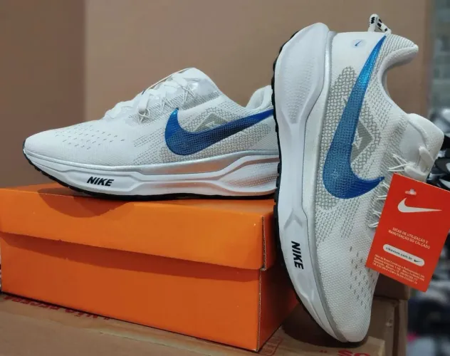 Nike Pegasus 41 branco/royal