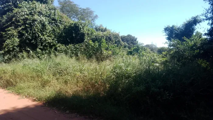 Terreno