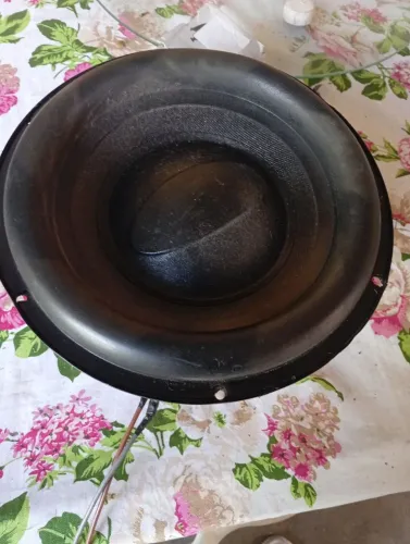 Auto falante de 12 polegadas!