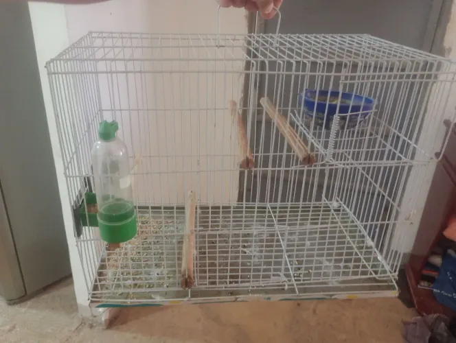 Gaiola e viveiro 