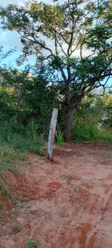 Sitio , chácara.