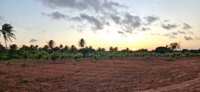 Terreno Rural de 6 Hectares à Venda em Alcaçuz