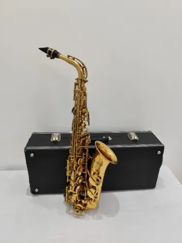 Sax Alto Waldman Mib Laqueado R$1.890,00 - Aceito trocas - Parcelo 21x cartão