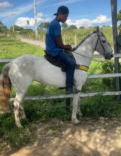 Égua de direita no precinho 