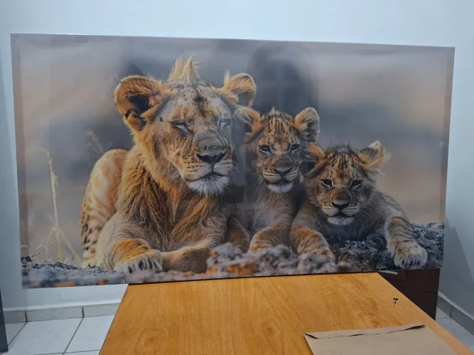 Quadro