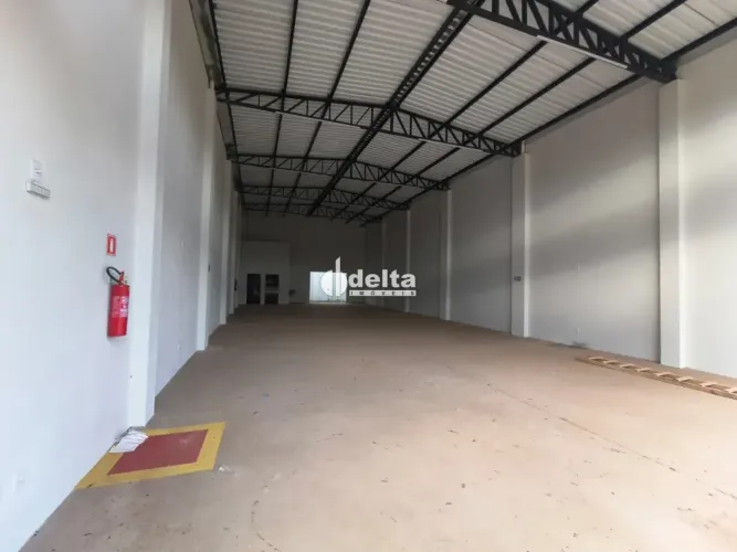 Galpão novo em avenida de intenso fluxo de veículos, aprox. 280m², portas automáticas, pis