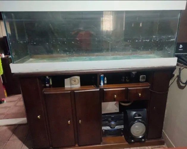 Aquario com rack de madeira maciça