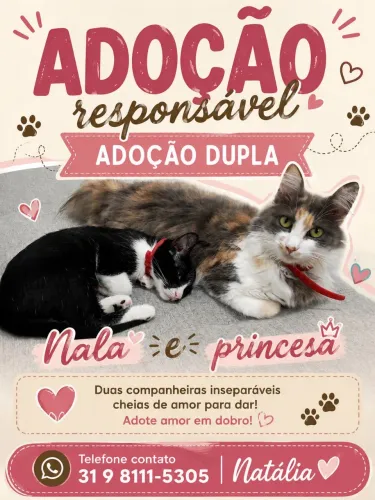 Adoção 