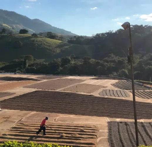 Fazenda de café em Ibiraci/MG