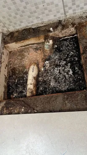 Desentupidora de esgoto, pias, ralos, vaso sanitário - melhor preço da ilha 