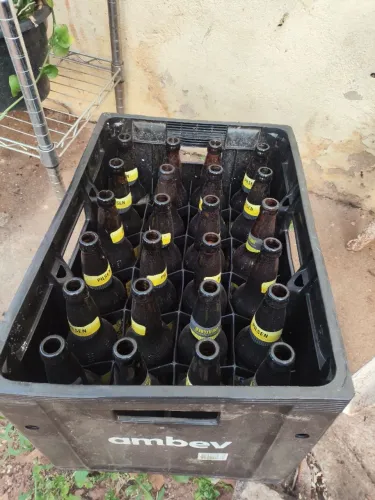 Engradado cerveja 600 ml