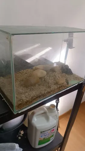 Aquário 13l