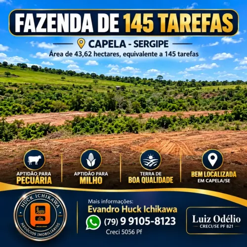 FAZENDA DE 145 TAREFAS - CAPELA