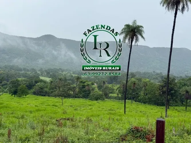 Chácara 41Hectares Próximo a Palmas