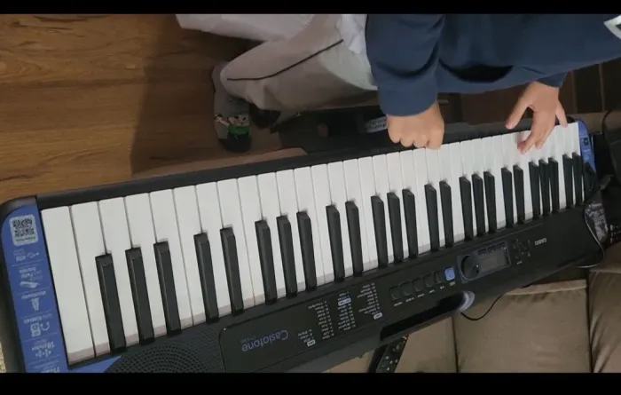 Teclado Casio CT S-300