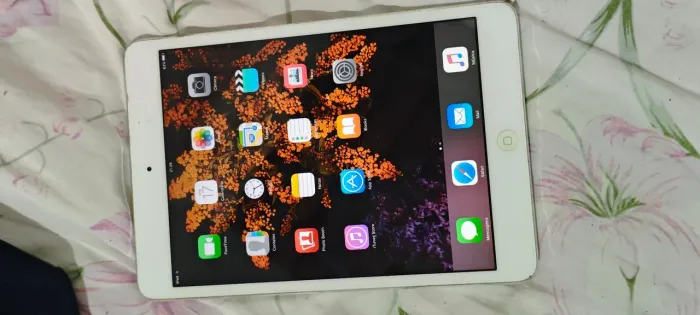 Ipad mini 1