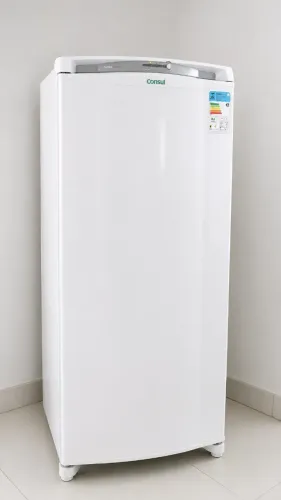 Geladeira / Refrigerador Consul Facilite Frost Free 300L