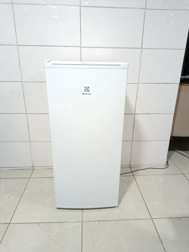 Freezer vertical