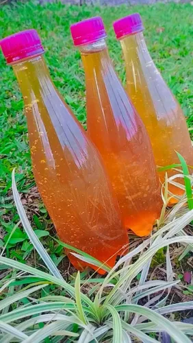 Mel puro 500ml
