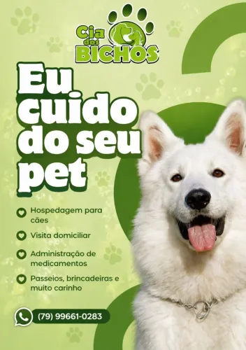 Hospedagem para cães