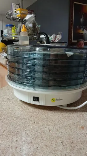 Desidratador de Alimentos Fun Kitchen