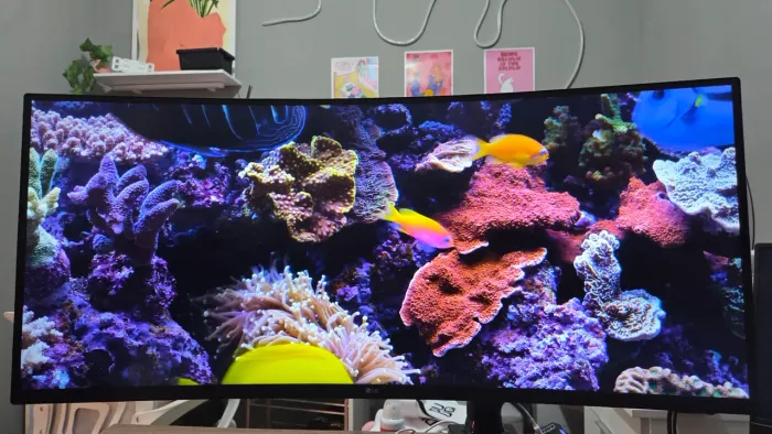 Monitor Gamer LG UltraWide 34" 160Hz 1ms