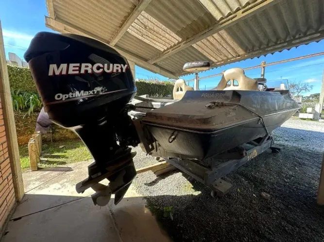 Mega Bass Boat 16' Modelo Trick