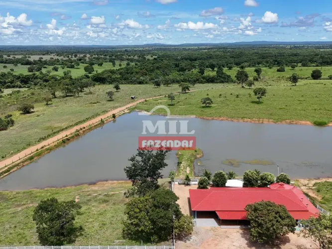 Fazenda 335 Alqueires (1.621 Hectares) Araguaçu - TO