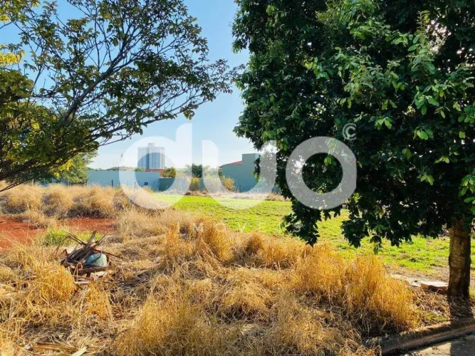 Terreno à venda, 250 m² por R$ 246.841,00 - São Luiz - Piracicaba/SP