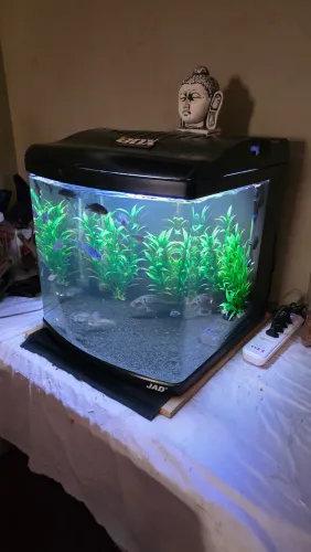 Aquario buyu 90 litros completo com bombas ,termostato e iluminação 