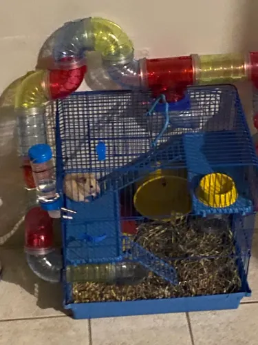 Gaiola hamster