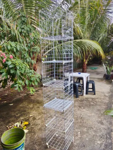 Arara pra loja