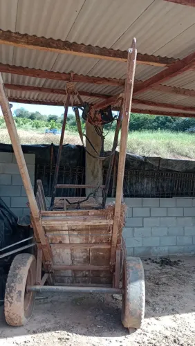 Venda de Charrete e Carroça 