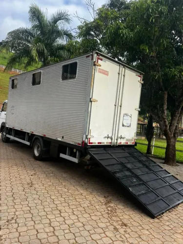 Volkswagen delivery 10160 carga viva cavalo
