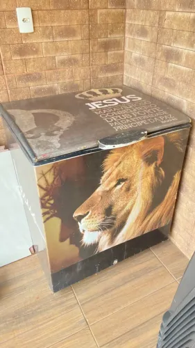 Freezer usado plotado 