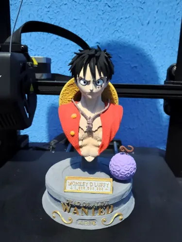 Busto luffy