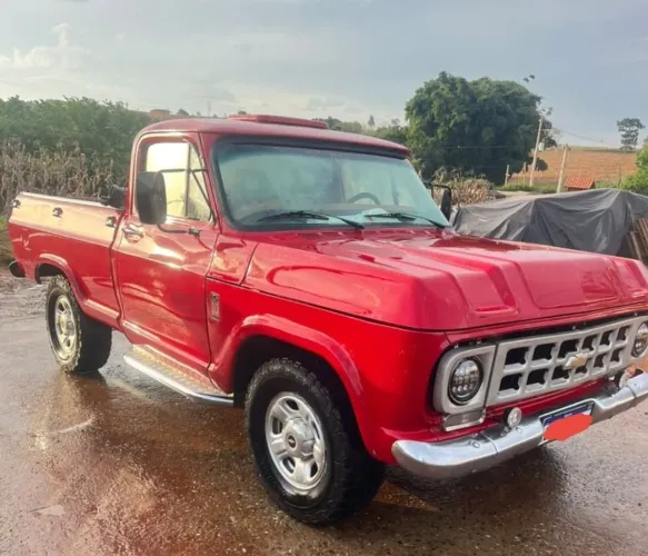 Chevrolet D-10 Diesel 1983