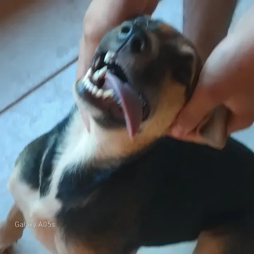 Doação