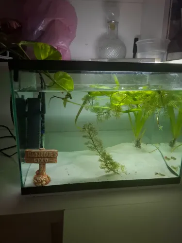 Aquario 30 litros completo