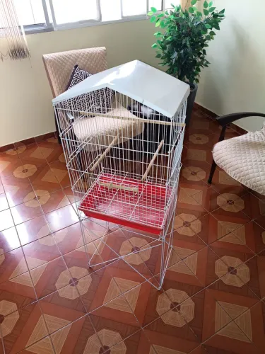 Vendo Gaiola Usada Para Calopsitas.