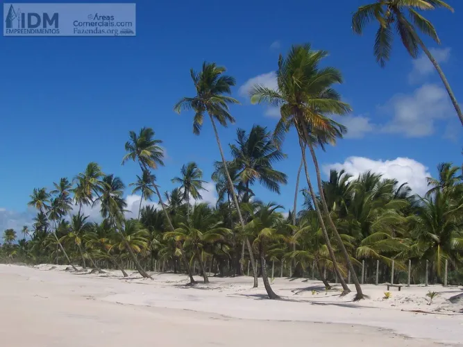 400.000 m² com 500 m de frente ao Mar em Ilhéus - BA