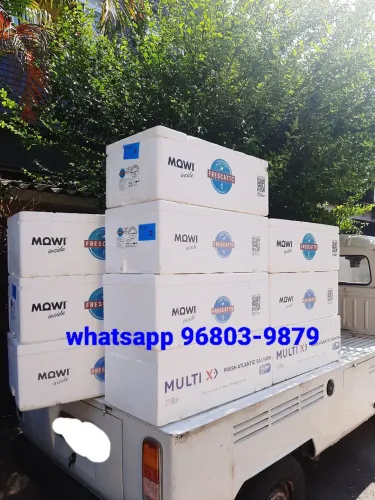 Caixas de isopor 45 litros
