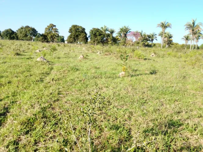 Vendo!!! Uma fazenda de 305 hectares próximo de Cuiabá/MT