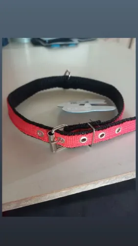 Coleiras para cachorro pequeno e grande