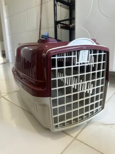 CAIXA PARA TRANSPORTE CÃO/GATO - TAMANHO 3 (GRANDE) - USADO UMA VEZ!