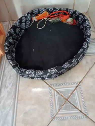 Caminha cachorro