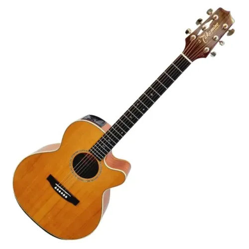 Violao Takamine EG544SC Cedro Maciço Pre TP4T com Bag (Musicalvo)
