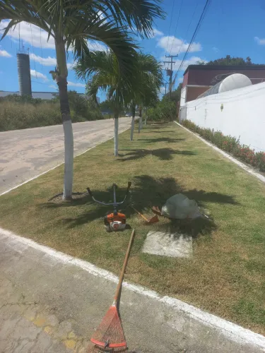 Manutenção de jardim