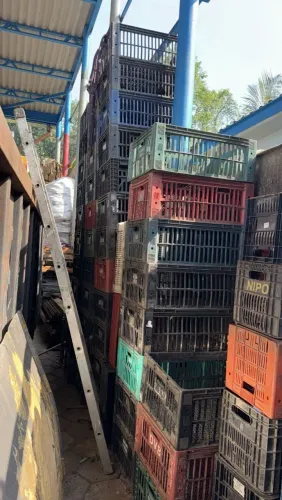 Caixas plásticas vazada